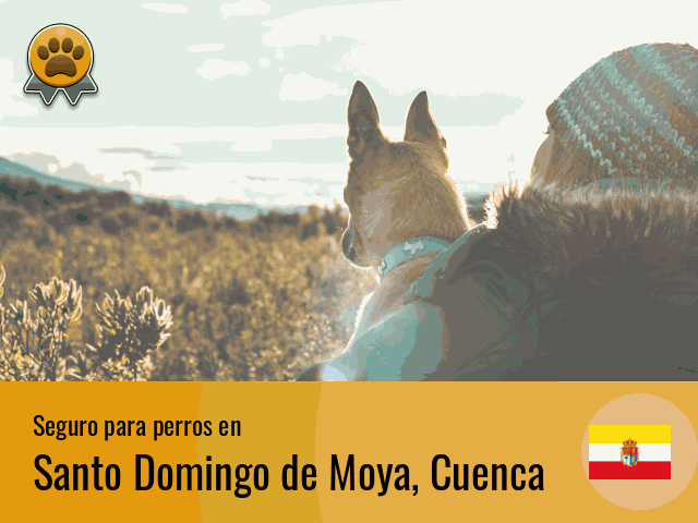 Seguro perros Santo Domingo de Moya