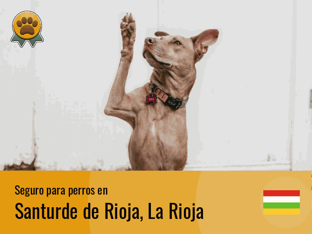 Seguro perros Santurde de Rioja