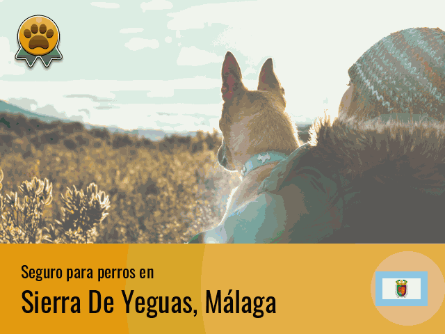Seguro perros Sierra De Yeguas