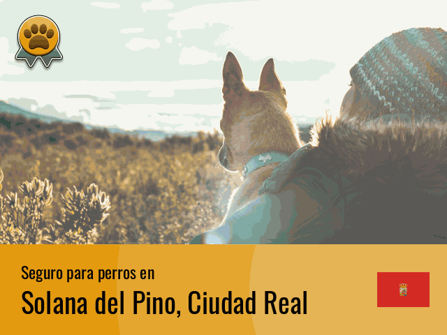Seguro perros Solana del Pino