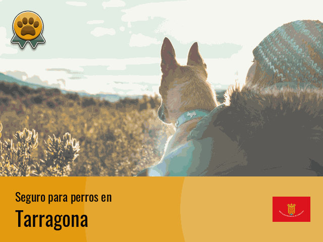 Seguro perros Tarragona