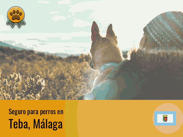 Seguro perros Teba