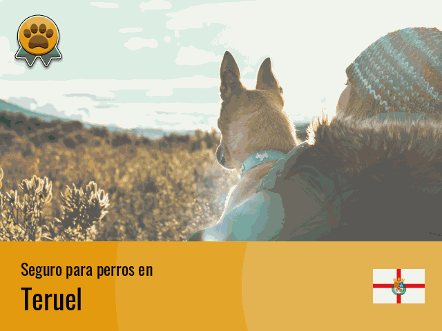 Seguro perros Teruel