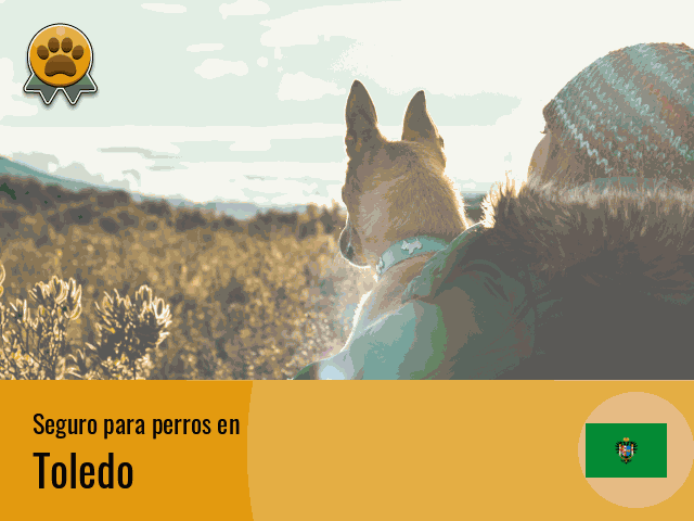 Seguro perros Toledo