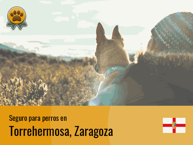 Seguro perros Torrehermosa
