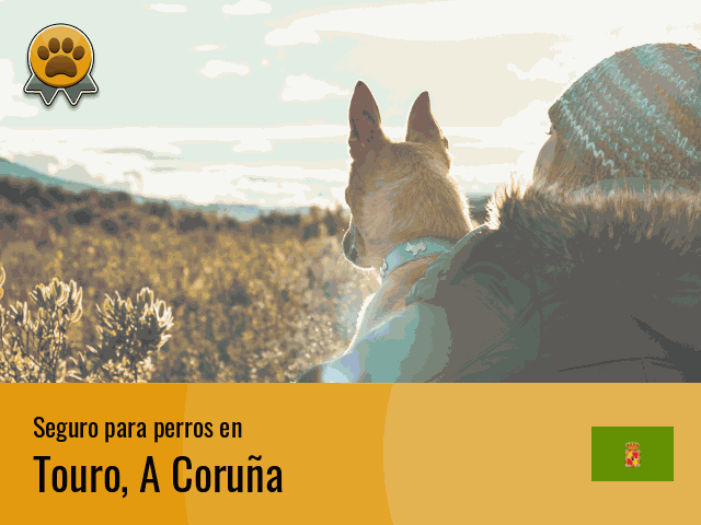 Seguro perros Touro