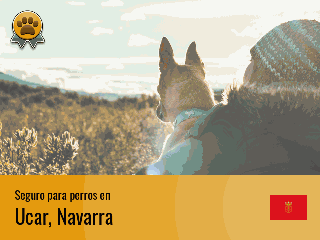 Seguro perros Ucar