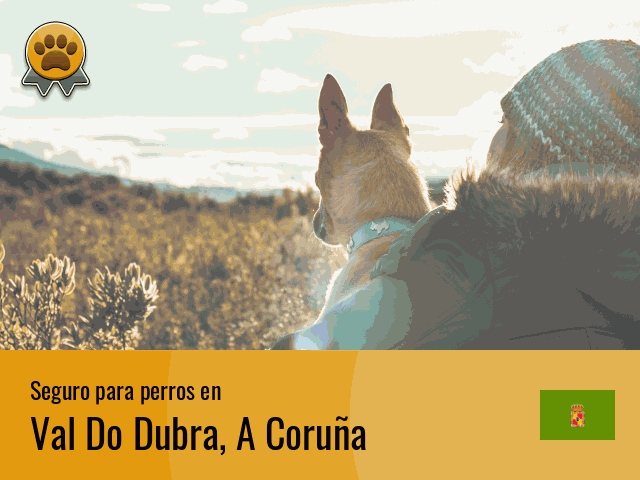 Seguro perros Val Do Dubra
