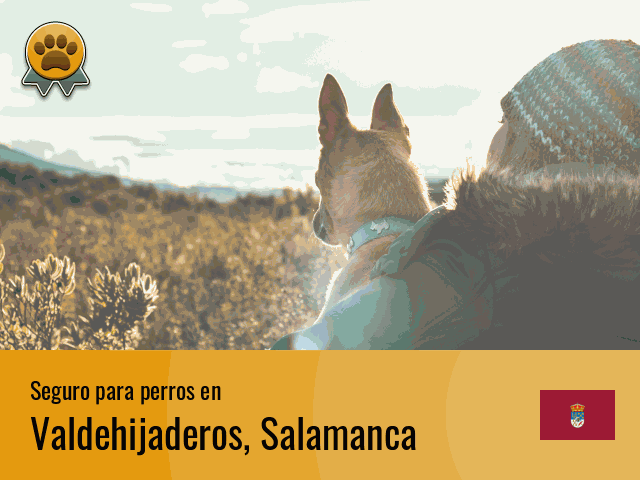 Seguro perros Valdehijaderos