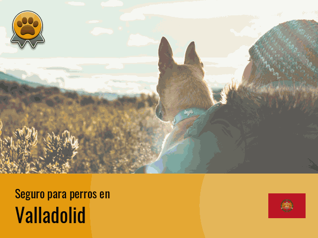 Seguro perros Valladolid