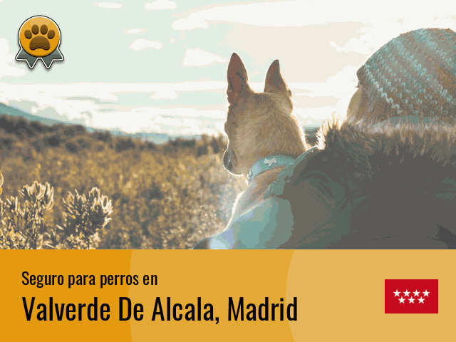 Seguro perros Valverde De Alcala