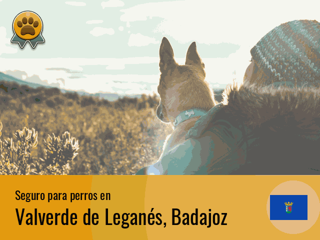 Seguro perros Valverde de Leganés
