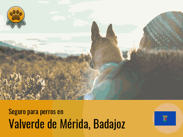 Seguro perros Valverde de Mérida