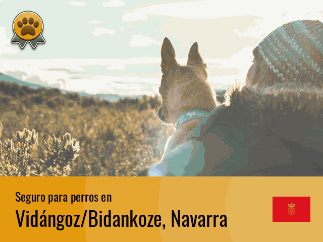 Seguro perros Vidángoz/Bidankoze