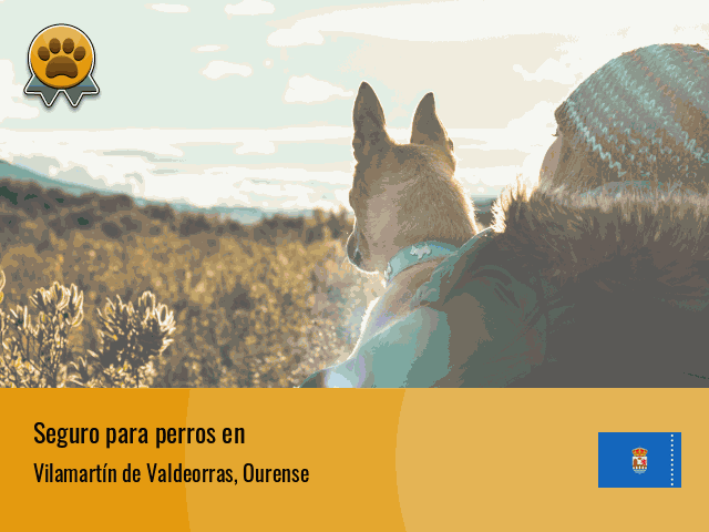 Seguro perros Vilamartín de Valdeorras