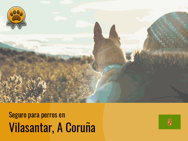 Seguro perros Vilasantar