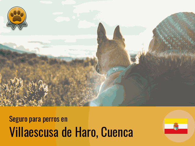 Seguro perros Villaescusa de Haro