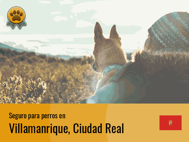 Seguro perros Villamanrique