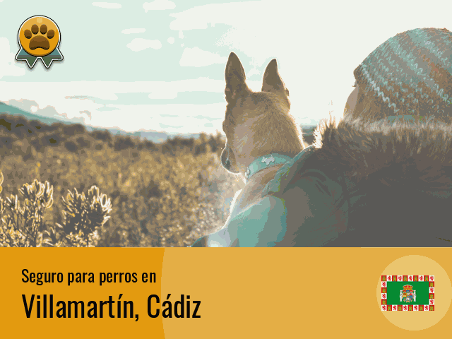 Seguro perros Villamartín