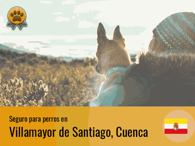 Seguro perros Villamayor de Santiago