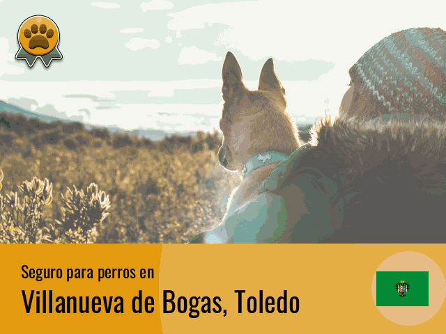 Seguro perros Villanueva de Bogas