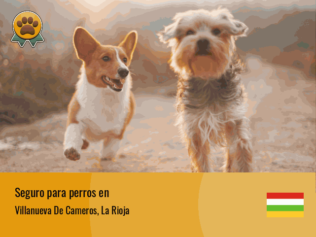 Seguro perros Villanueva De Cameros