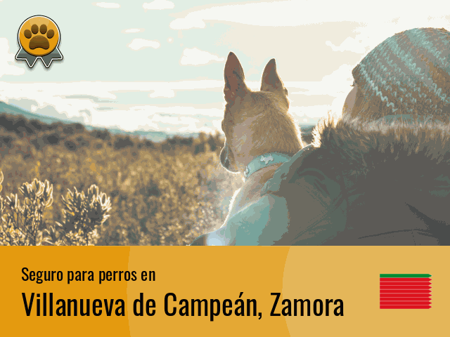 Seguro perros Villanueva de Campeán
