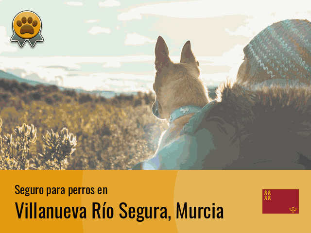 Seguro perros Villanueva Río Segura