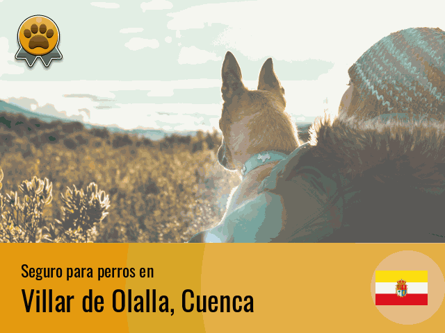 Seguro perros Villar de Olalla