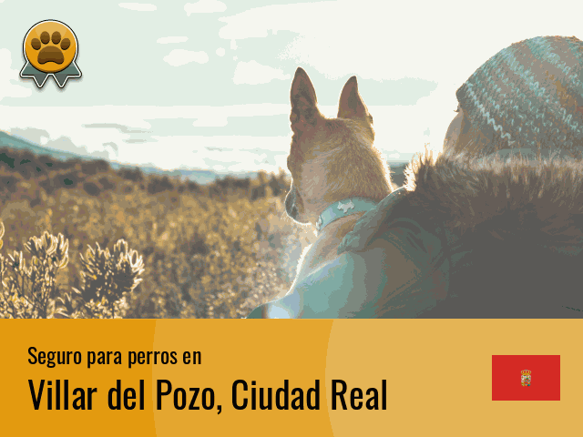 Seguro perros Villar del Pozo