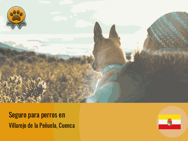 Seguro perros Villarejo de la Peñuela