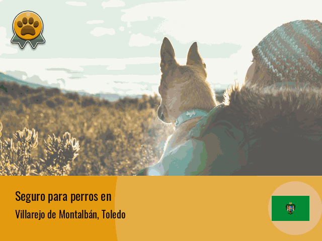 Seguro perros Villarejo de Montalbán