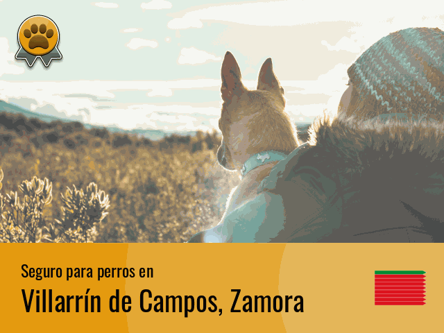 Seguro perros Villarrín de Campos