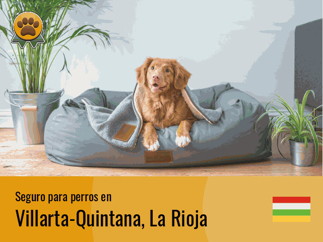 Seguro perros Villarta-Quintana