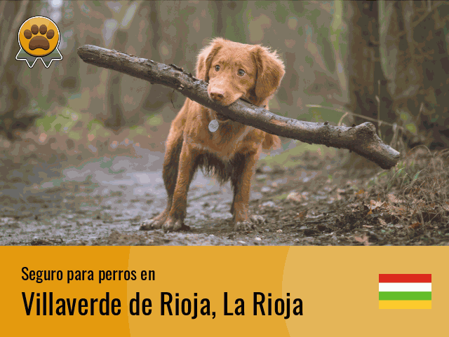 Seguro perros Villaverde de Rioja