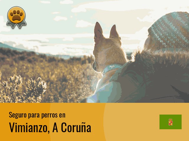 Seguro perros Vimianzo