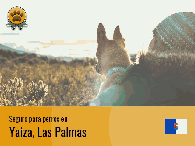 Seguro perros Yaiza