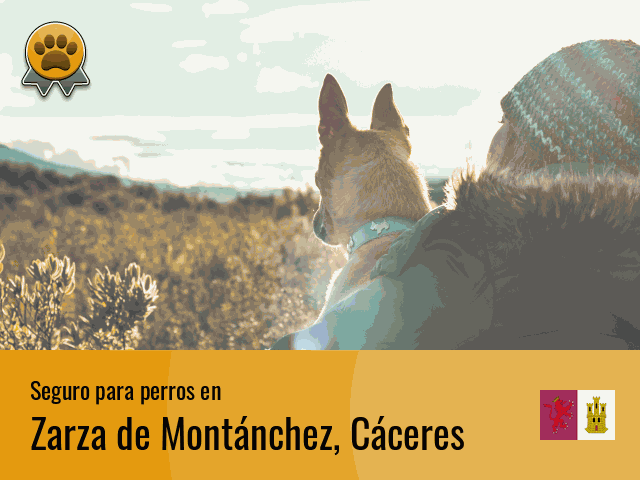 Seguro perros Zarza de Montánchez