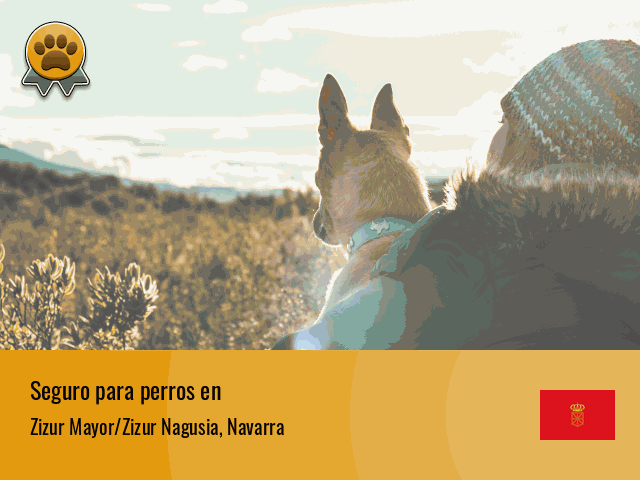Seguro perros Zizur Mayor/Zizur Nagusia